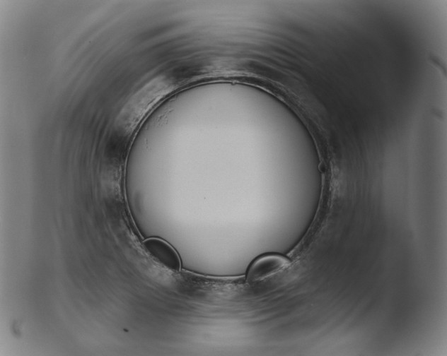 X0000103441273200809261746