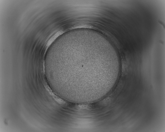X0000103441274200809261746