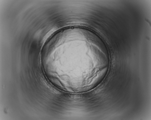 X0000103441275200809261746