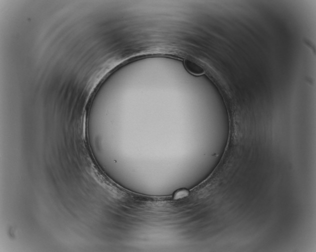 X0000103441276200809261746