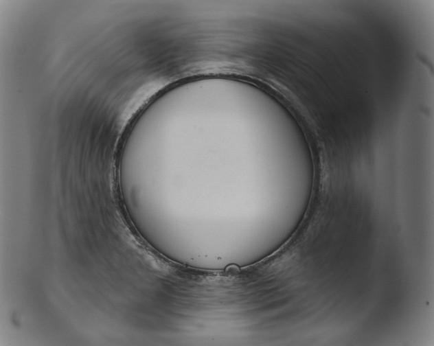 X0000103441277200809261746
