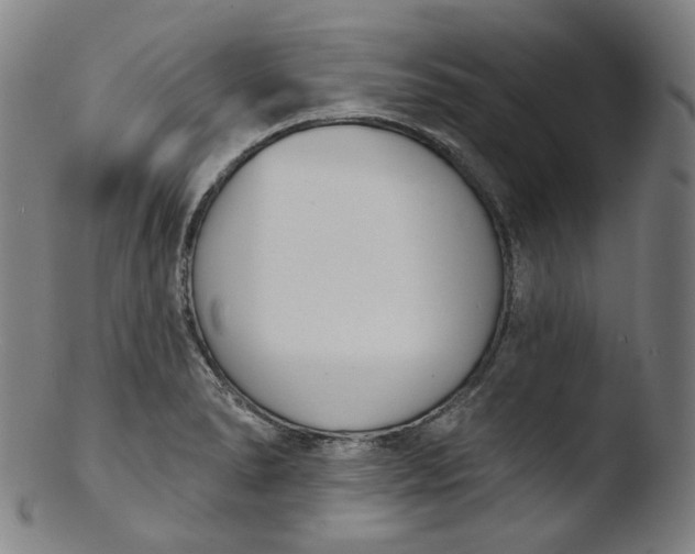 X0000103441278200809261746