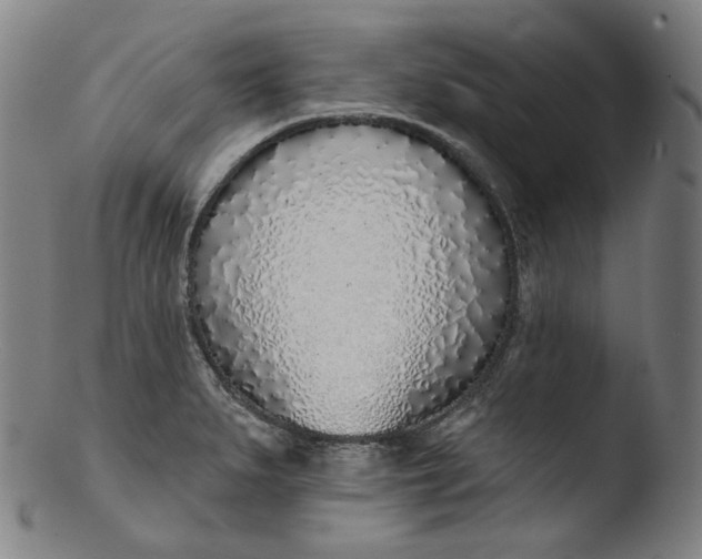 X0000103441279200809261746