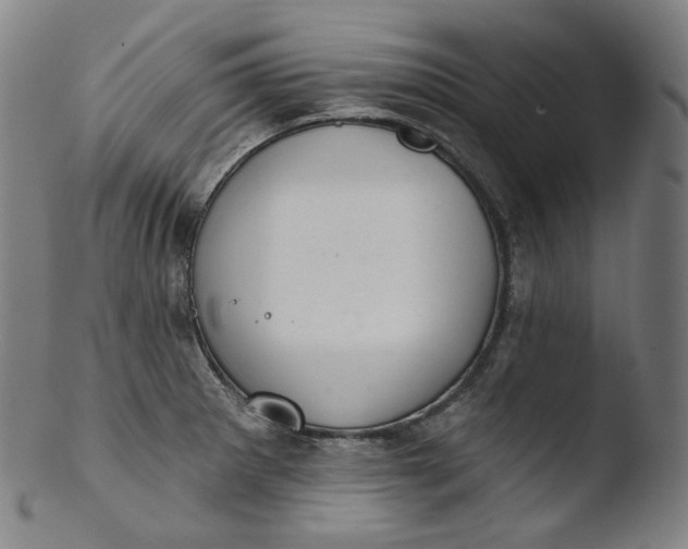 X0000103441281200809261746