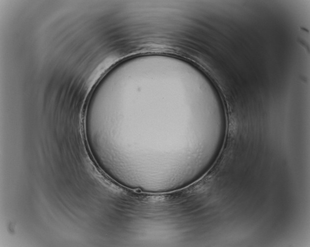 X0000103441283200809261746