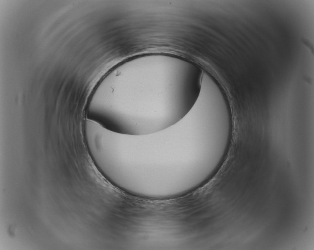 X0000103441284200809261746