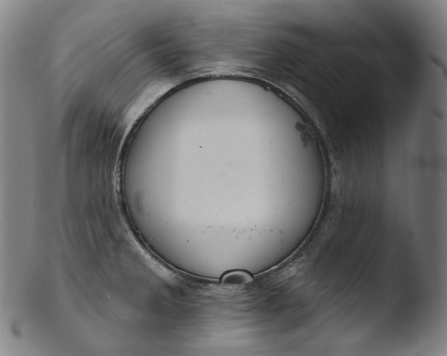X0000103441285200809261746