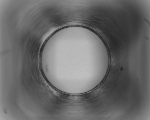 X0000103441286200809261746