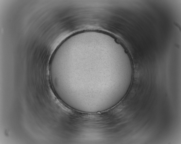 X0000103441287200809261746