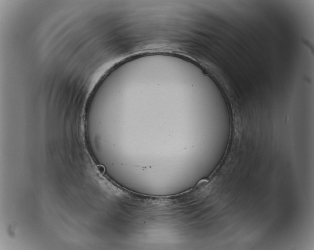 X0000103441288200809261746