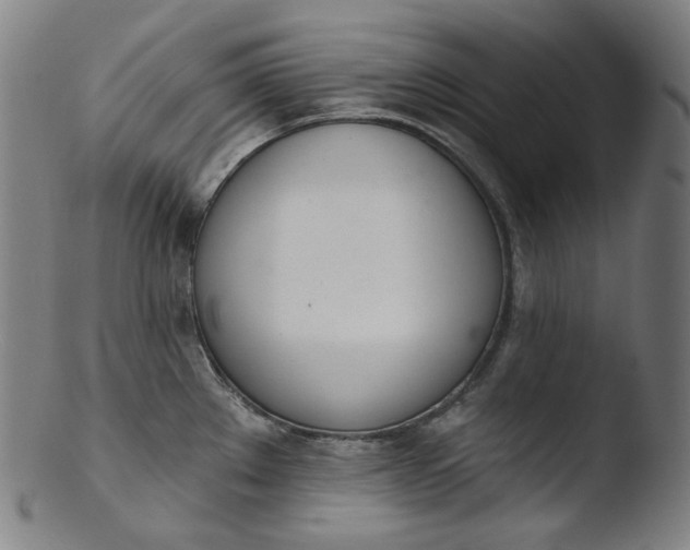 X0000103441289200809261746