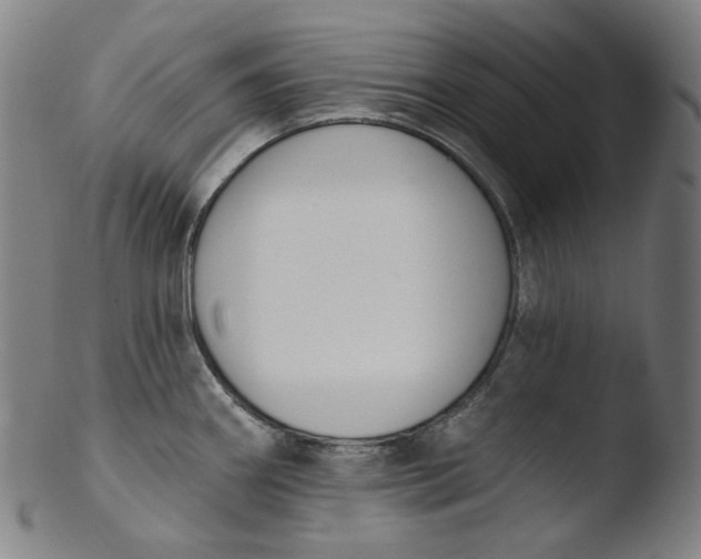 X0000103441290200809261745