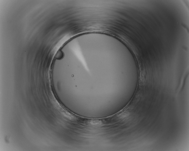 X0000103441291200809261745