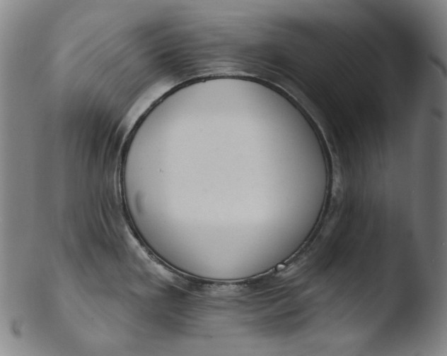 X0000103441293200809261745