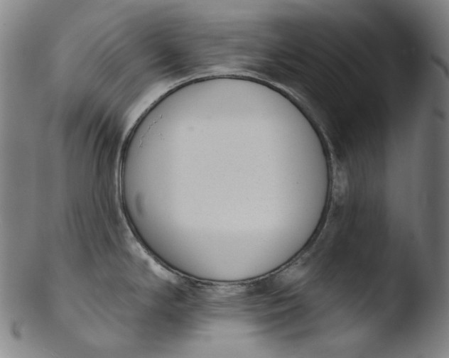 X0000103441294200809261745