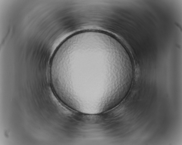 X0000103441295200809261745