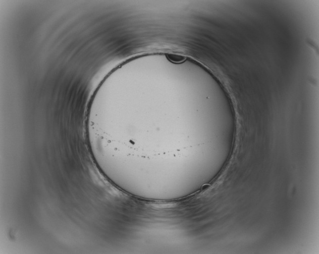 X0000103441296200809261745