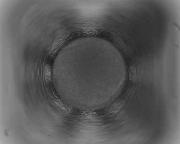 X0000103441298200809261745