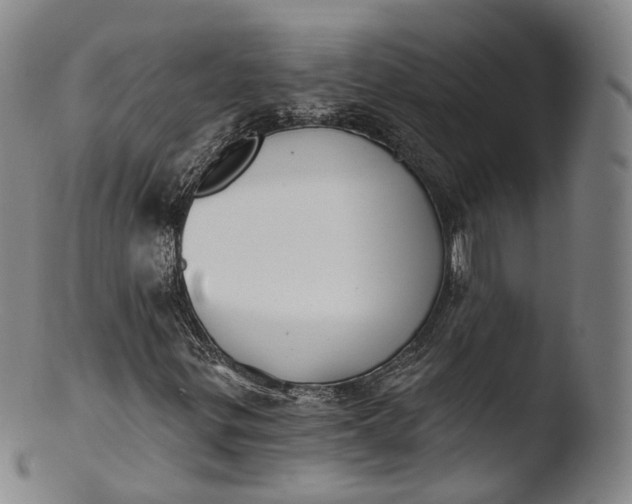 X0000103441299200809261745