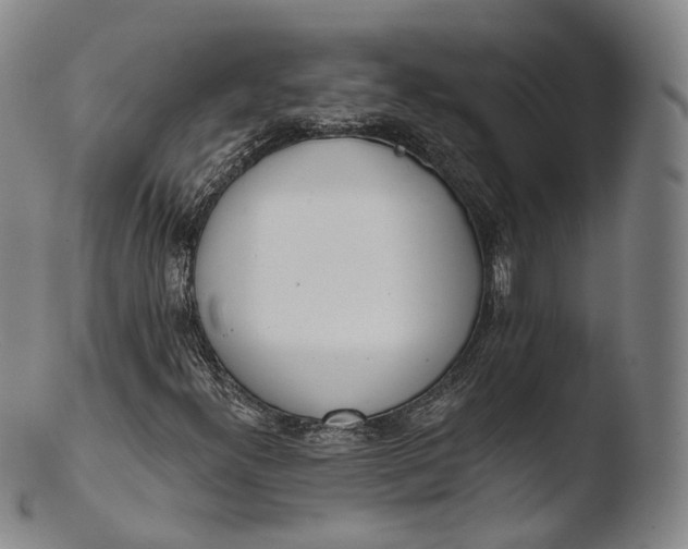 X0000103441300200809261745
