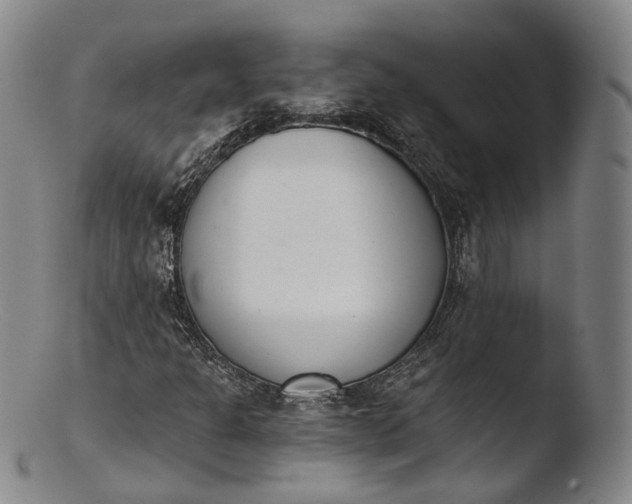 X0000103441301200809261745