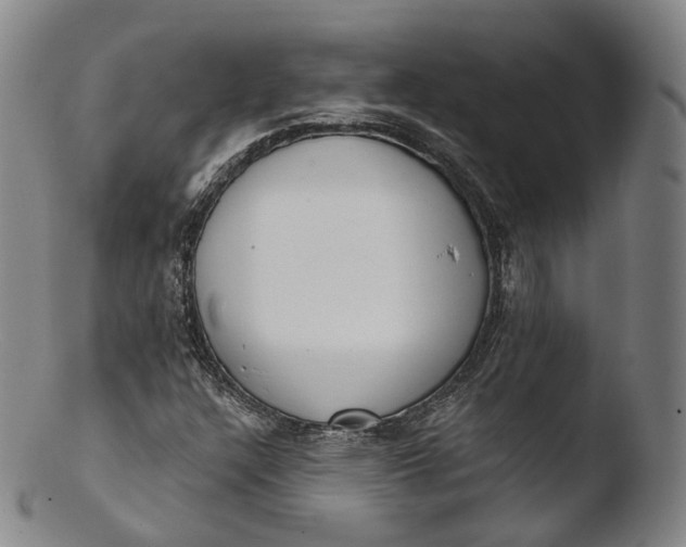 X0000103441304200809261745