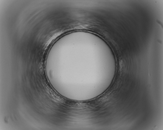 X0000103441308200809261745