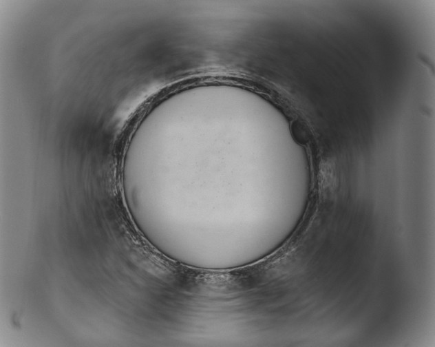 X0000103441310200809261745