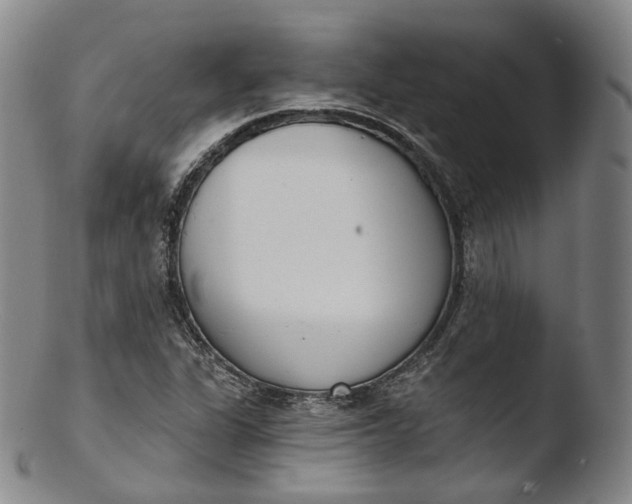X0000103441311200809261745