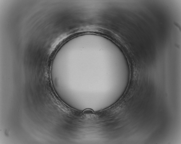 X0000103441312200809261745