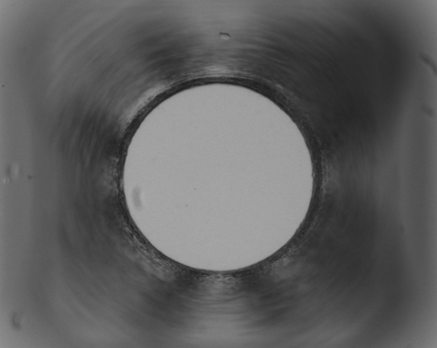 X0000103441314200809261745