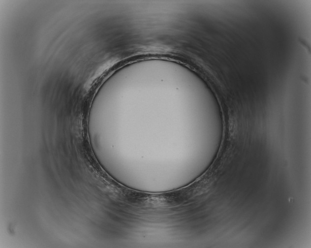 X0000103441315200809261745