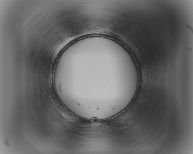 X0000103441316200809261745