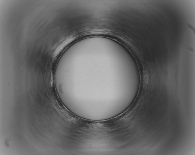 X0000103441317200809261745