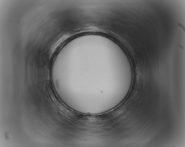 X0000103441318200809261745