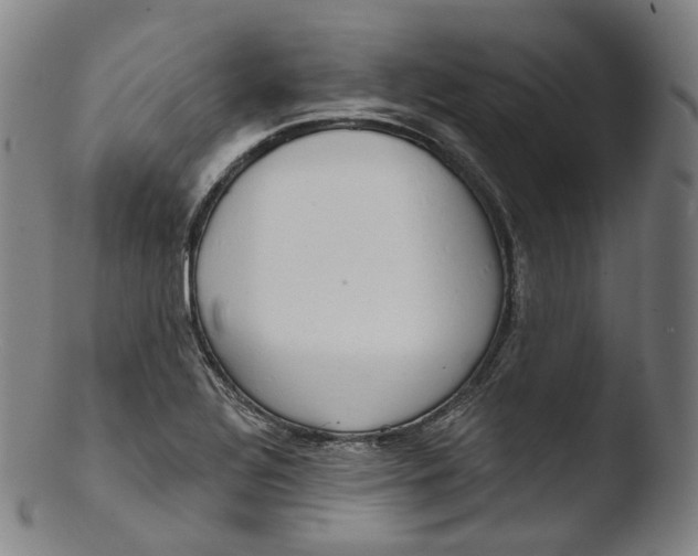 X0000103441320200809261745