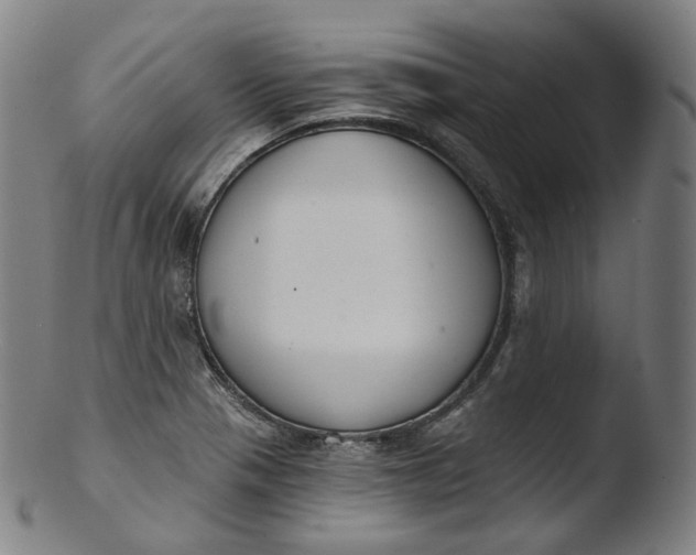 X0000103441321200809261745