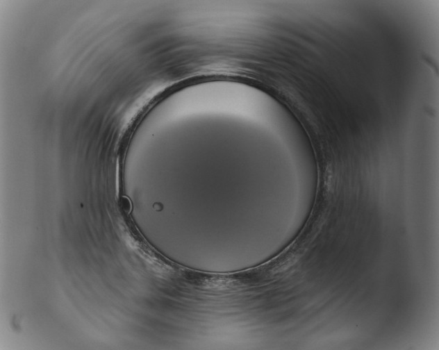X0000103441323200809261745