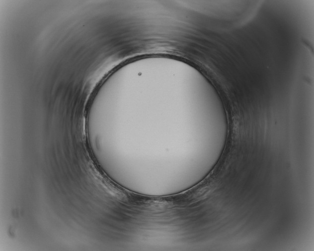 X0000103441324200809261745