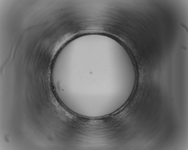 X0000103441325200809261745