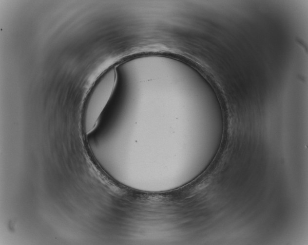 X0000103441326200809261745