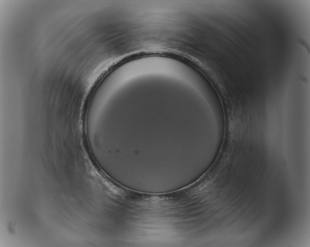 X0000103441327200809261745