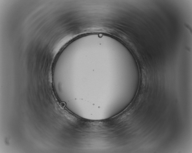 X0000103441328200809261745
