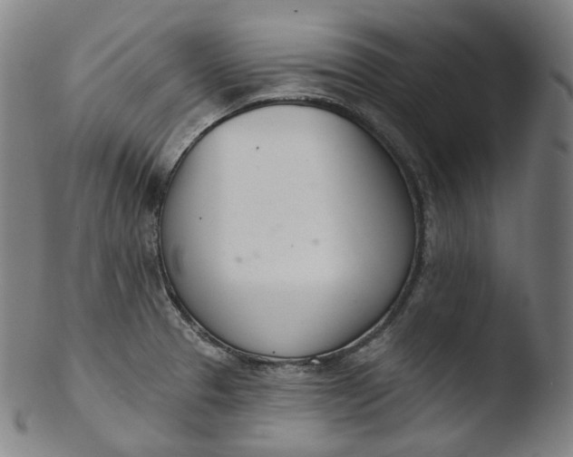 X0000103441329200809261745
