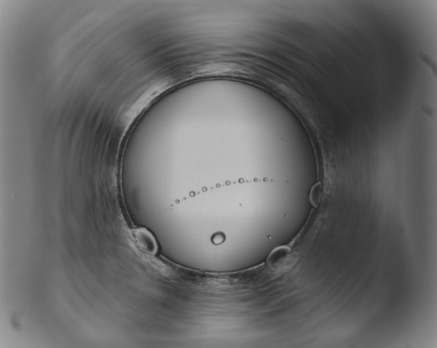 X0000103441330200809261745