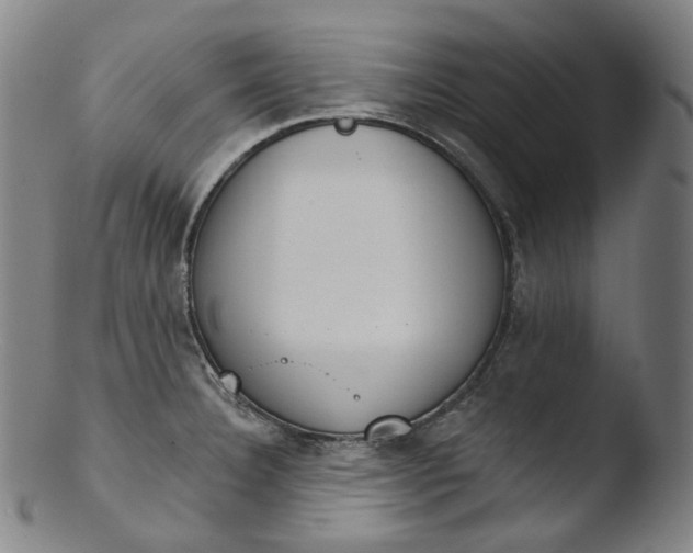 X0000103441332200809261745
