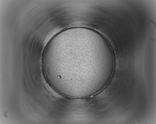 X0000103441333200809261745
