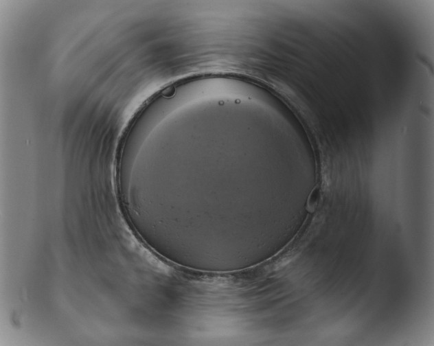 X0000103441334200809261745