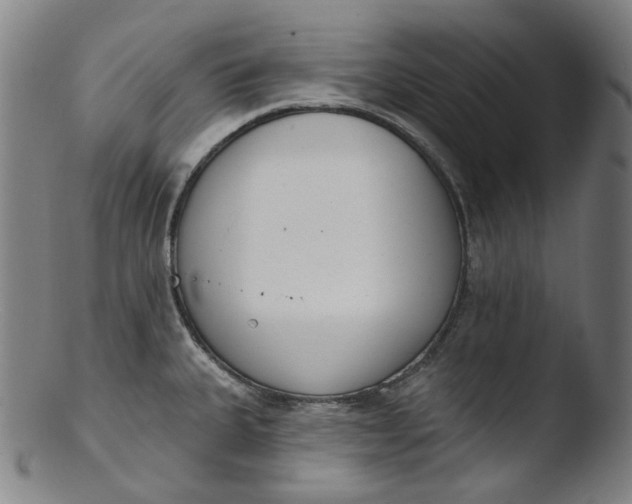 X0000103441335200809261745