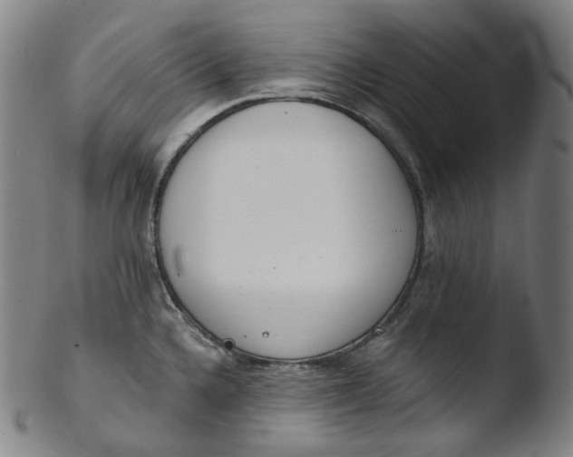 X0000103441336200809261745